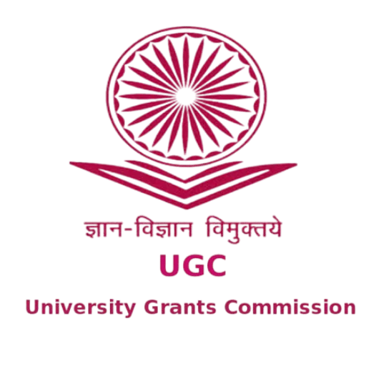 University Partner